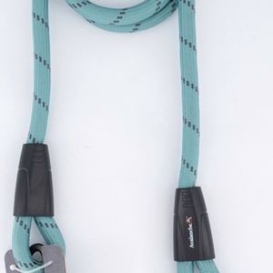 Avalanche Heavy Duty Dog Leash - Teal
